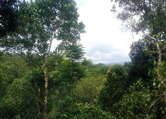 Heaven Meadows Homestay