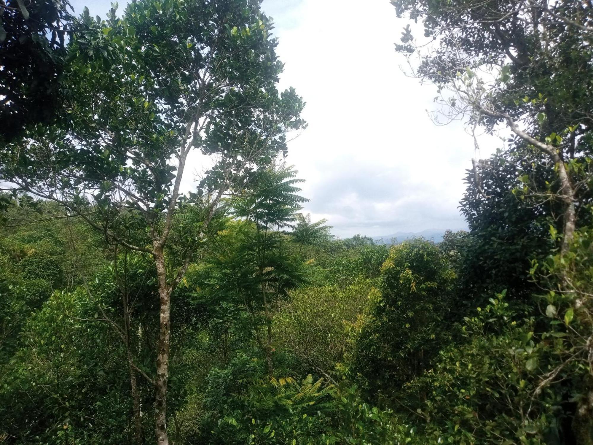 Apartment Heaven Meadows Vagamon