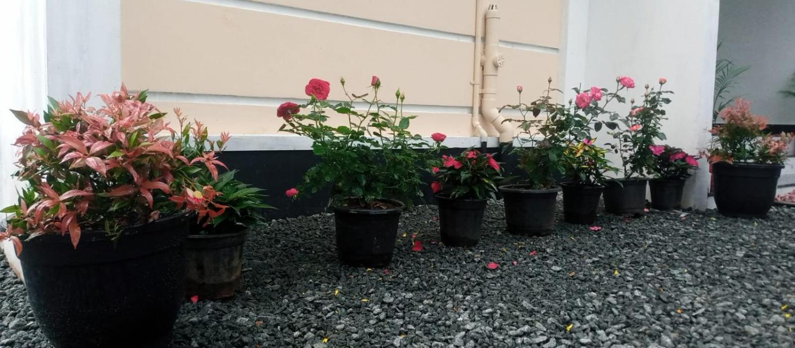 Apartment Heaven Meadows Vagamon